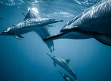 开云下载-秦游夏：怎样成为拜仁克星？纳格尔斯曼又开示范课